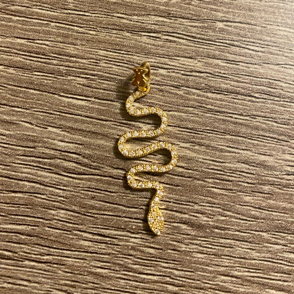Snake pendant,  giving  tous vibes good vibes
